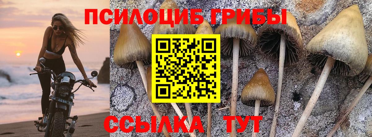 Владикавказ  продажа наркотиков  Вход с VPN  Галлюциногенные грибы Cubensis 