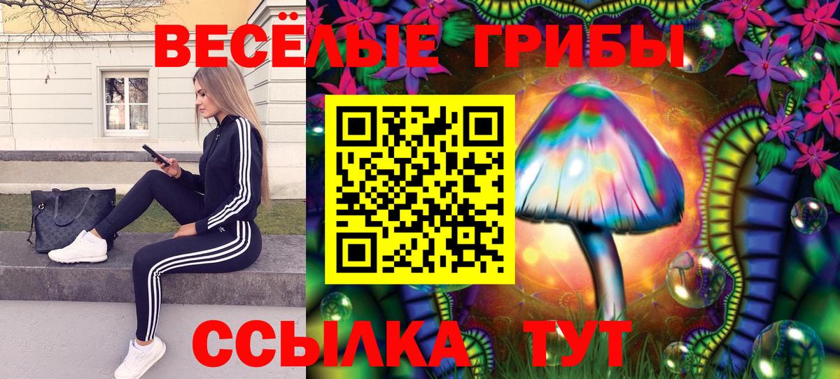 Псилоцибиновые грибы мухоморы Владикавказ
